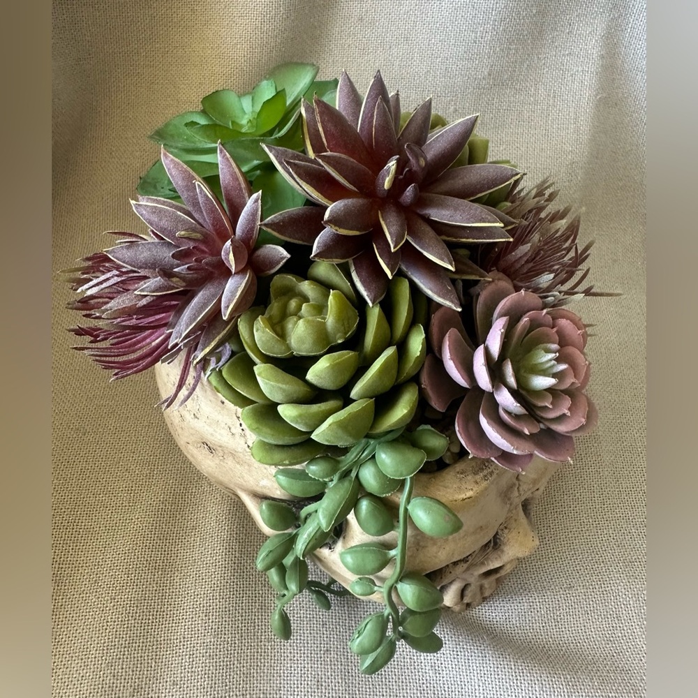 Halloween Succulent Skull Spooky Planter - Picture 7 of 8